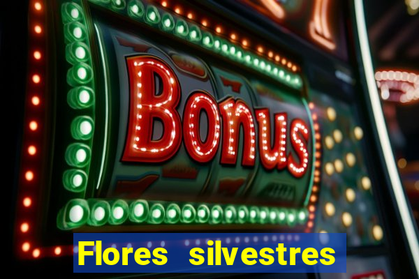 Flores silvestres brasileiras brasileiras flores silvestres nomes e imagens